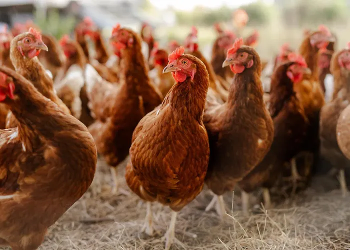 Tante Schmidt 4 Casa de Férias Staberdorf