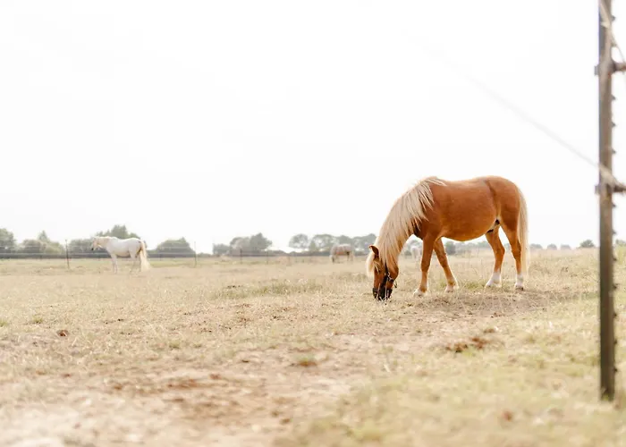 Tante Schmidt 4 Casa de Férias
