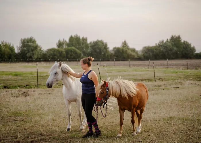 Casa de Férias Tante Schmidt 4 Staberdorf