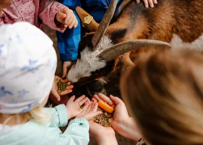 Tante Schmidt 4 * Staberdorf