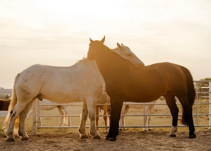 Tante Schmidt 4 Staberdorf