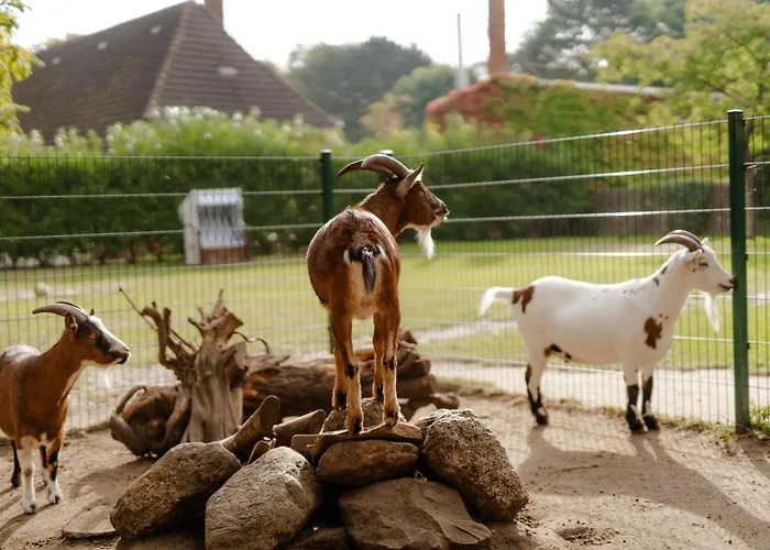 Tante Schmidt 4 * Staberdorf